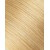 14/22 - Golden Blonde  + $70.20 