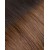 R2-6 - Rooted Chestnut  + $70.20 
