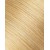 14/22 - Golden Blonde 