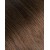 T2/6 - Chestnut Kiss 