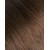T2/6 - Chestnut Kiss 