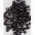 Darkest Brown 