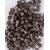Medium Brown 