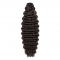 Premium I-Tip (20g) | 22″ Deep Wave