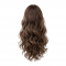 Halo Hairpiece