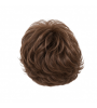 Volume Hairpiece